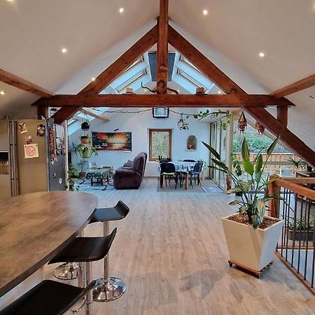 Bel Appartement 120 M² Tres Lumineux Avec Terrasse Morvillars 외부 사진