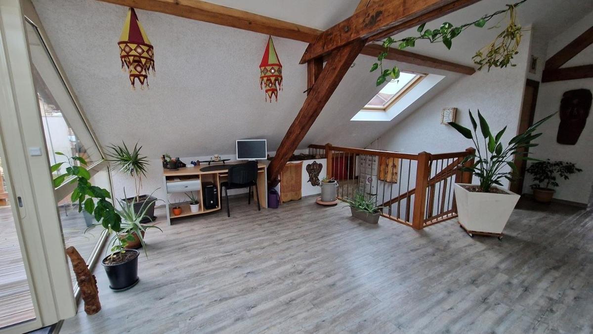 Bel Appartement 120 M² Tres Lumineux Avec Terrasse Morvillars 외부 사진